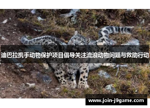 迪巴拉携手动物保护项目倡导关注流浪动物问题与救助行动 迪巴拉携手动物保护项目倡导关注流浪动物问题与救助行动