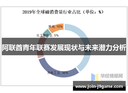 阿联酋青年联赛发展现状与未来潜力分析 阿联酋青年联赛发展现状与未来潜力分析