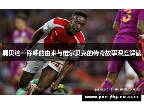 黑贝这一称呼的由来与维尔贝克的传奇故事深度解读 黑贝这一称呼的由来与维尔贝克的传奇故事深度解读